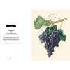 Kew Pocketbooks: Festive Flora - sample page