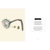Kew Pocketbooks: Mexican Plants - sample pages