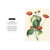 Kew Pocketbooks: Mexican Plants - sample pages