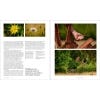 Meadow - sample pages