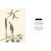 Kew Pocketbooks: Orchids - sample pages