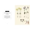 Kew Pocketbooks: Orchids - sample pages