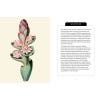 Kew Pocketbooks: Orchids - sample pages