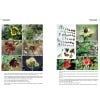 Peonies of the World Vol. 2 - Polymorphism and Diversity - sample page