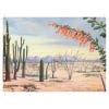 Marianne North 100 Postcards - sample 