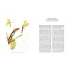 The Art of Botanical Illustration - sample pages