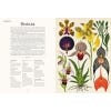 Botanicum (standard edition) - sample pages