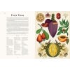 Botanicum (standard edition) - sample pages