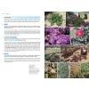 Field Guide to the Wild Flowers of the Western Mediterranean, 2nd Edition - sample pages