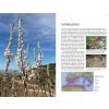 Field Guide to the Wild Flowers of the Western Mediterranean, 2nd Edition - sample pages
