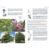 Field Guide to the Wild Flowers of the Algarve Second edition - sample pages