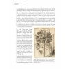 The Genus Agapanthus - Sample page