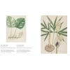 Indian Botanical Art: an illustrated history - Sample pages