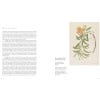 Indian Botanical Art: an illustrated history - Sample pages