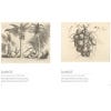Indian Botanical Art: an illustrated history - Sample pages
