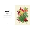 Kew Pocketbooks: Japanese Plants - sample page