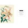 Kew Pocketbooks: Japanese Plants - sample page