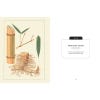 Kew Pocketbooks: Japanese Plants - sample page