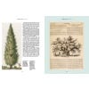 Rare plants - sample page