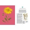 Rare plants - sample page