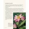 Marianne North - A Very Intrepid Painter: revised edition - sample page