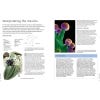 Plants That Cure - sample page