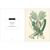 Kew Pocketbooks: Palms - sample page