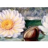 Marianne North 100 Postcards - sample 