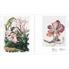 The Shirley Sherwood Collection: Modern Masterpieces of Botanical Art - sample pages
