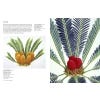 Treasures of Botanical Art - sample pages