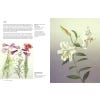 Treasures of Botanical Art - sample pages