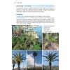 Field Guide to the Wild Flowers of the Western Mediterranean - sample page