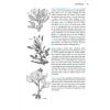 Field Guide to the Wild Flowers of the Western Mediterranean - sample page