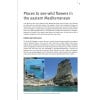Field Guide to the Wild Flowers of the Eastern Mediterranean - sample page