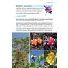 Field Guide to the Wild Flowers of the Eastern Mediterranean - sample page