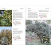 Wild Plants of Southern Spain: A Guide to the Native Plants of Andalucia - sample pages