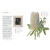 The Botanical Adventures of Joseph Banks - sample pages