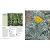 Gardening with Drought-Friendly Plants - sample pages
