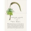 The Tropical Hothouse - sample pages