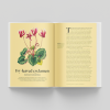 Parched spread featuring the ivy-leaved cyclamen illustration and text.