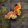 Lifestyle image of the Metal Butterfly, Peacock