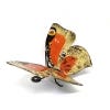 Metal Butterfly, Peacock