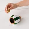 Hydrating Olla Self Watering System, Green White Stripes