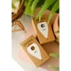 Hydrating Olla Self Watering System in box