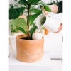 Hydrating Olla Self Watering System, Speckled White