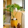 Hydrating Olla Self Watering System, Speckled White