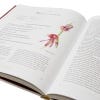 Plants of the Qur'an - inside pages