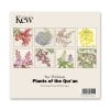 Plants of Qur'an Pack of 8 Greeting Cards with Envelopes