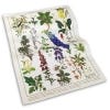 Kew Poisonous Plants Tea Towel