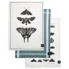 Three tea towels, two featuring black and white artwork of insects and the other a duck egg blue with white striped lining.